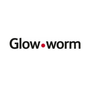 Glow-worm
